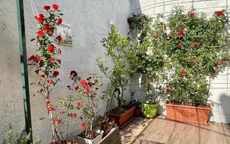 فيلا Casa Di Nicola سيتارا المظهر الخارجي الصورة